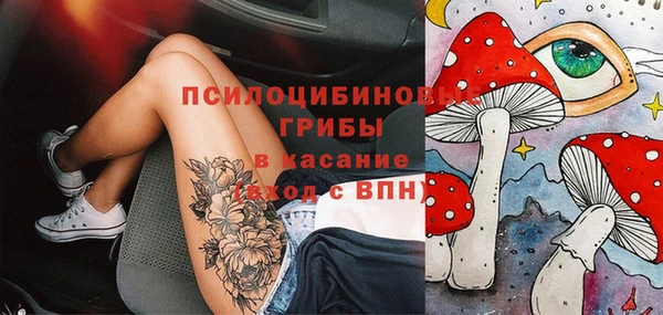 MESCALINE Аркадак
