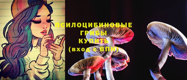 мяу мяу мука Арсеньев