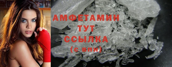 гашик Михайлов
