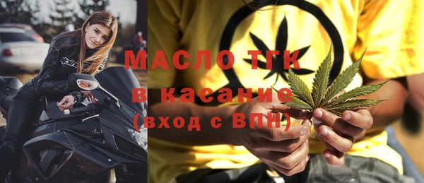 гашик Михайлов